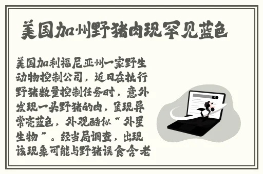 逃脱~孕妇精灵与森之馆